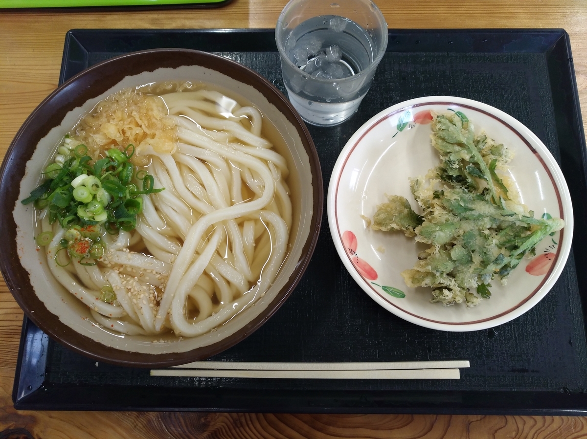 f:id:sankairenzoku10cm:20220125124544j:plain