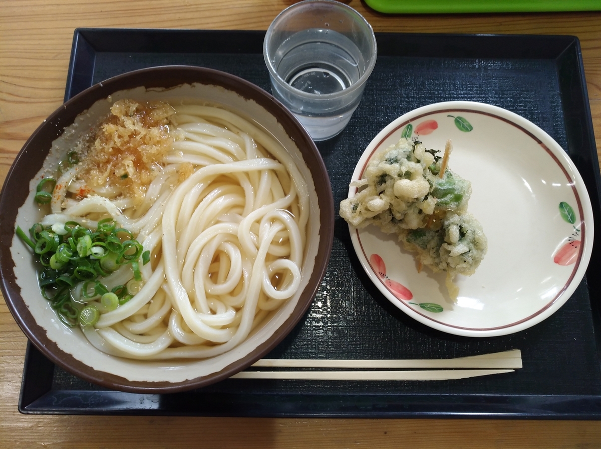 f:id:sankairenzoku10cm:20220127124606j:plain