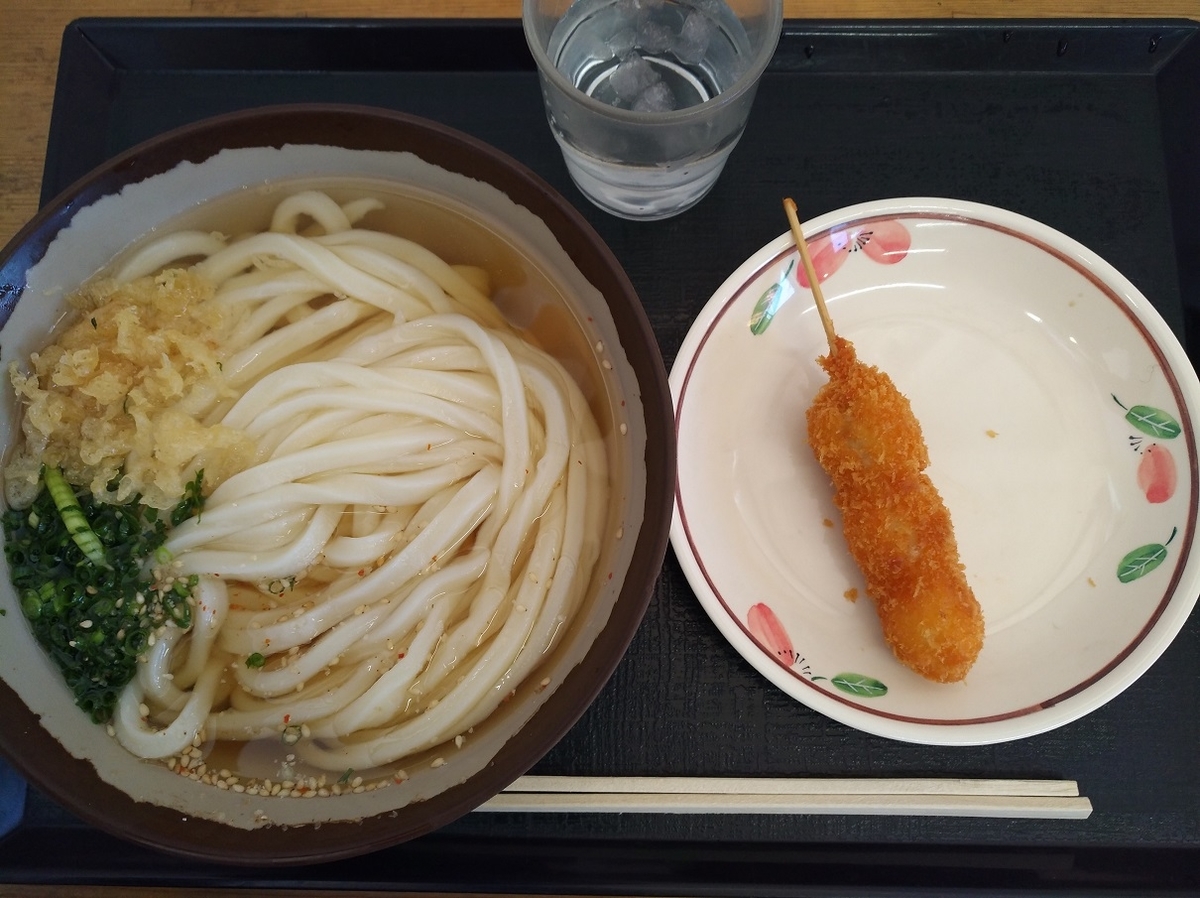 f:id:sankairenzoku10cm:20220128161052j:plain