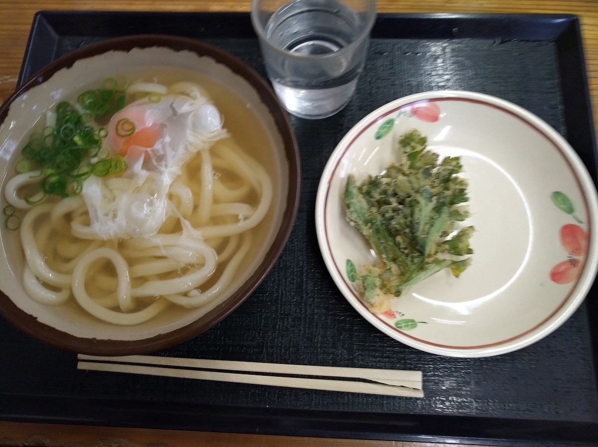 f:id:sankairenzoku10cm:20220128161122j:plain