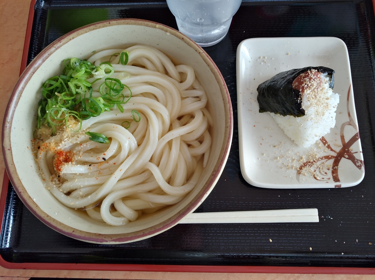 f:id:sankairenzoku10cm:20220413124100j:plain