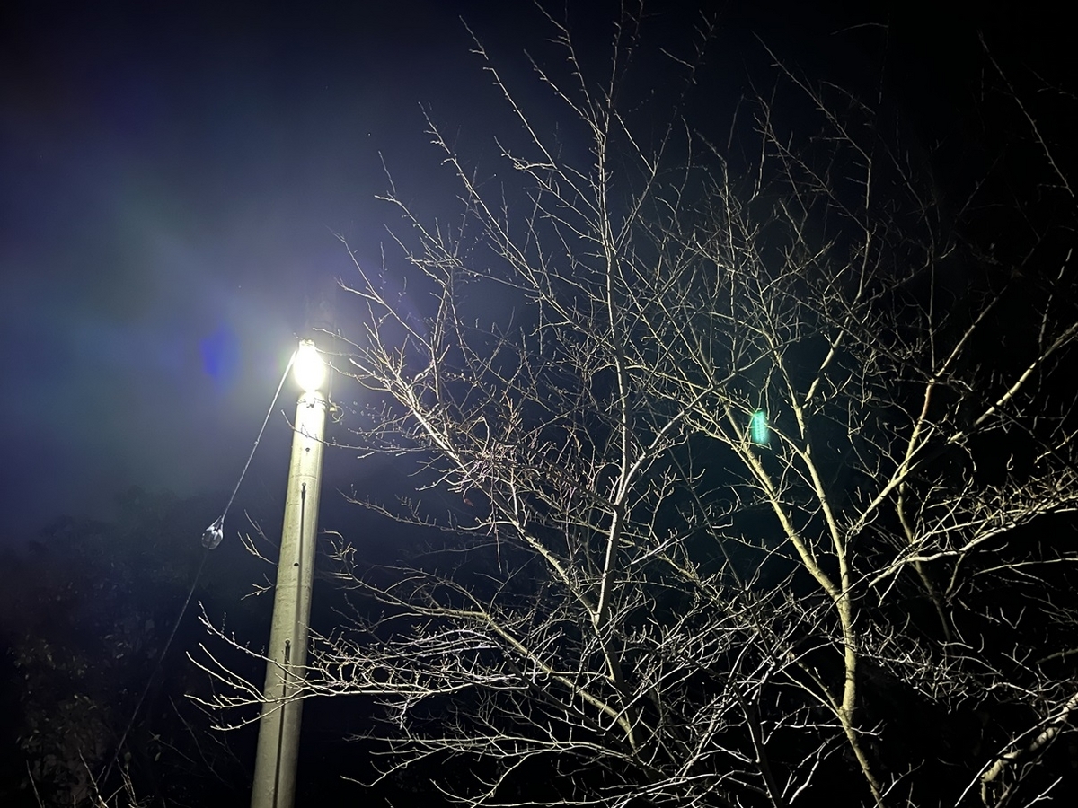 あれれ!もう2月が終わるぞ!ってことで、写真整理させていただきます。20240228 - おっさんのblogというブログ。