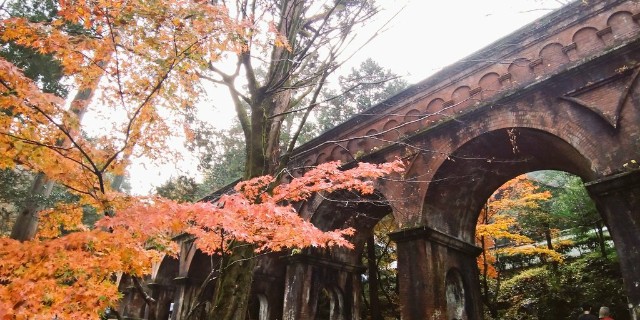 f:id:sankakujd:20201120225423j:image f:id:sankakujd:20201120225423j:image