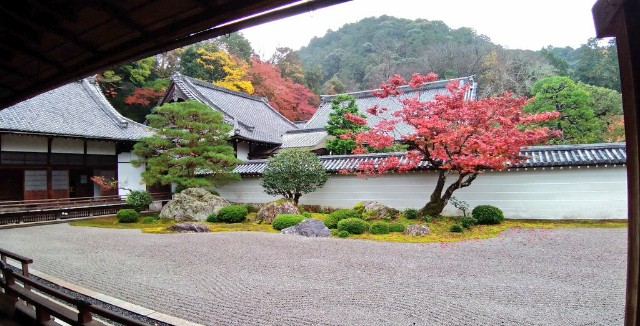 f:id:sankakujd:20201120231109j:image f:id:sankakujd:20201120231109j:image