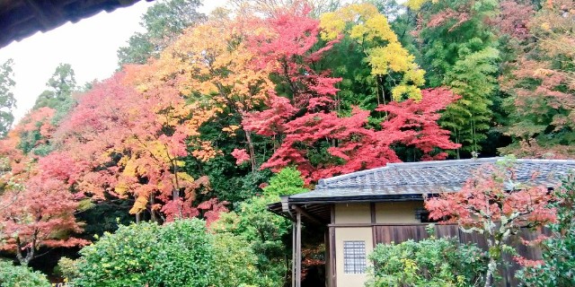 f:id:sankakujd:20201120232232j:image f:id:sankakujd:20201120232232j:image