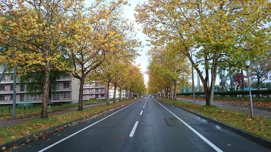 f:id:sankan-hokkaido:20181109144607j:plain f:id:sankan-hokkaido:20181109144607j:plain