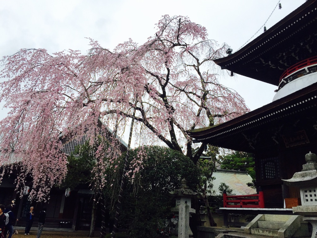 f:id:sankazuki:20170409190857j:image f:id:sankazuki:20170409190857j:image