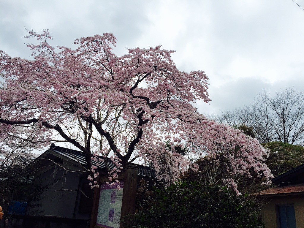 f:id:sankazuki:20170409190919j:image f:id:sankazuki:20170409190919j:image