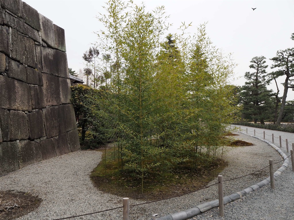f:id:sankazuki:20180222164803j:image f:id:sankazuki:20180222164803j:image