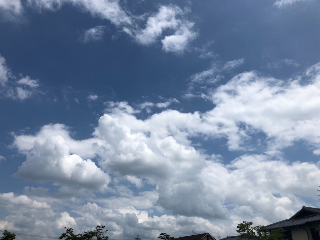 f:id:sankazuki:20191021142617j:image f:id:sankazuki:20191021142617j:image