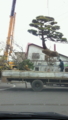 20100513101300