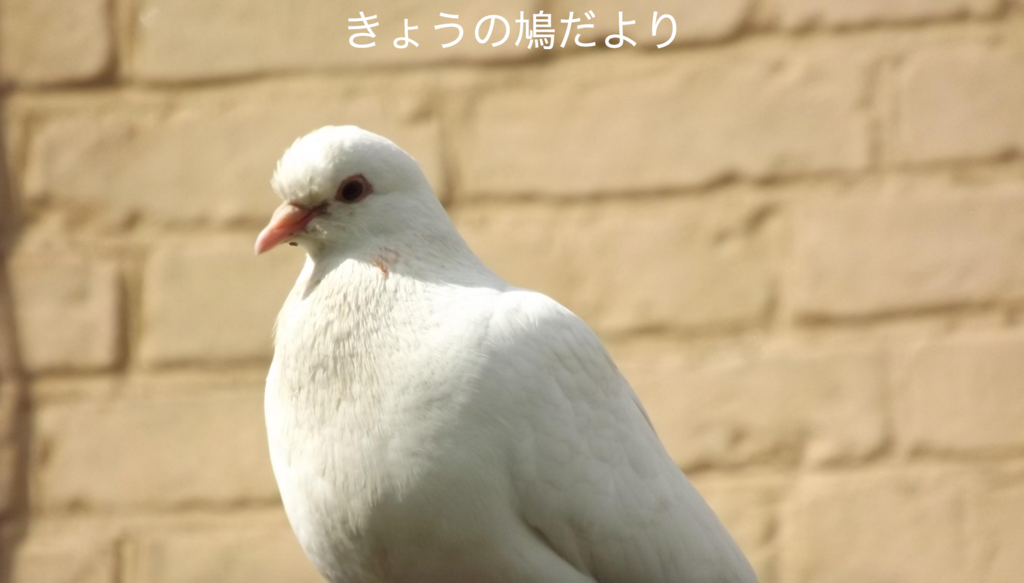 f:id:sankoblog:20160707222317p:plain f:id:sankoblog:20160707222317p:plain