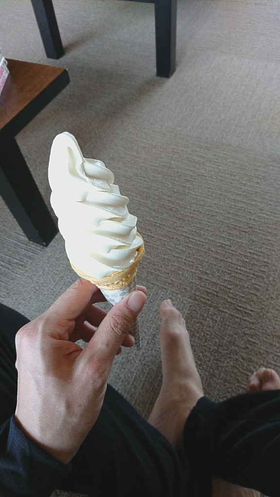 f:id:sankyoudaikun:20170613000054j:plain f:id:sankyoudaikun:20170613000054j:plain