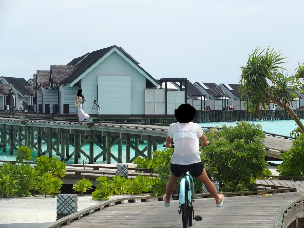 f:id:sanmanosippo:20200506013036j:plain
