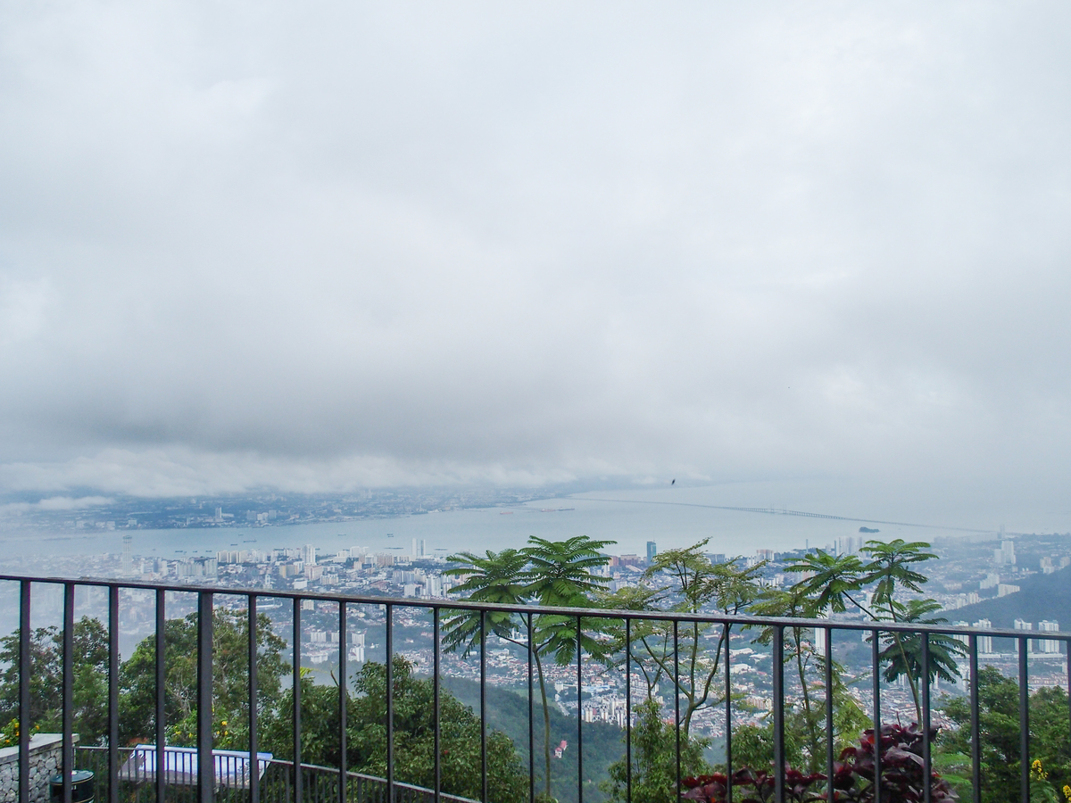 f:id:sanmanosippo:20200625202855j:plain