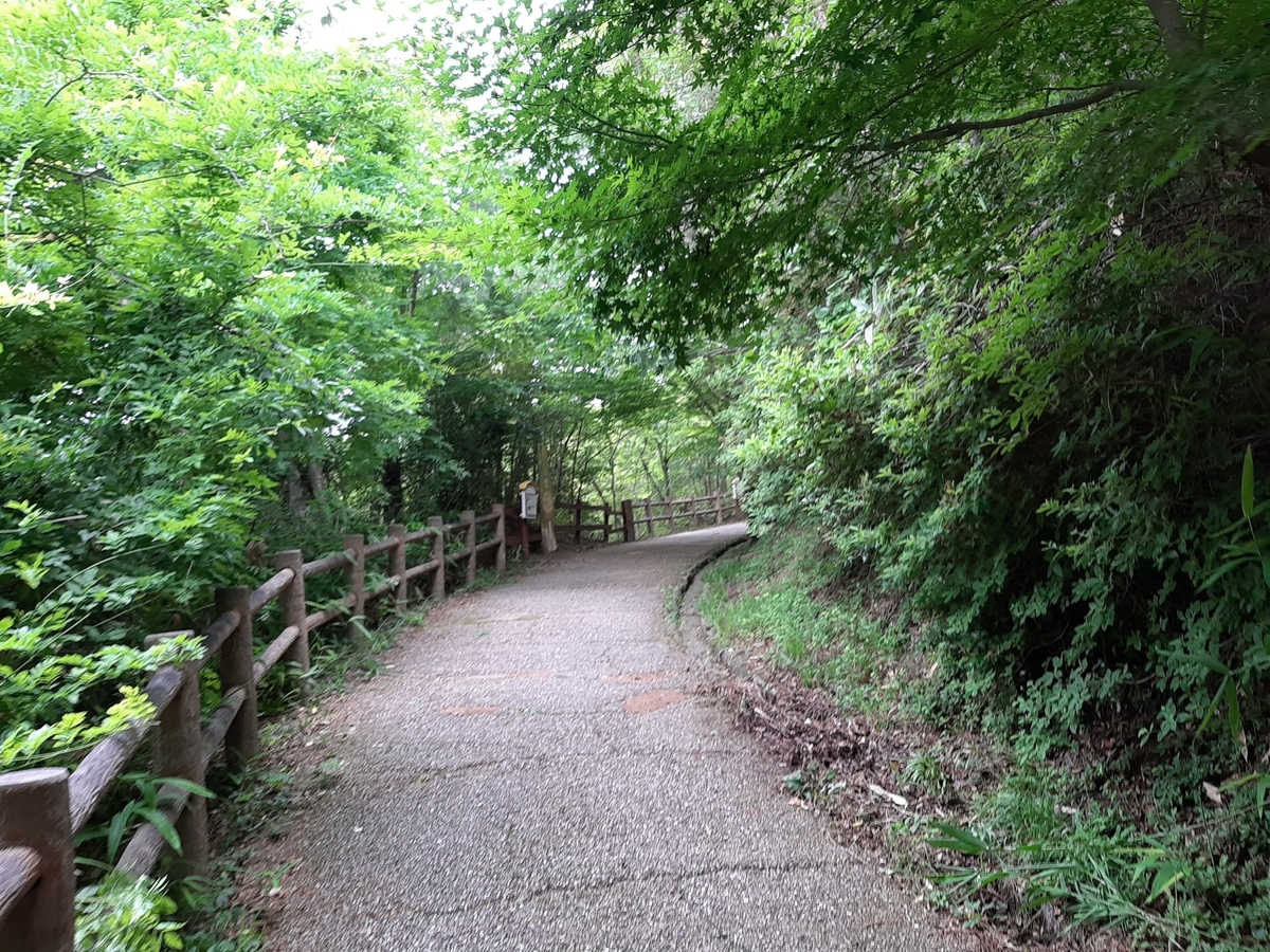 f:id:sanmanosippo:20200706210609j:plain