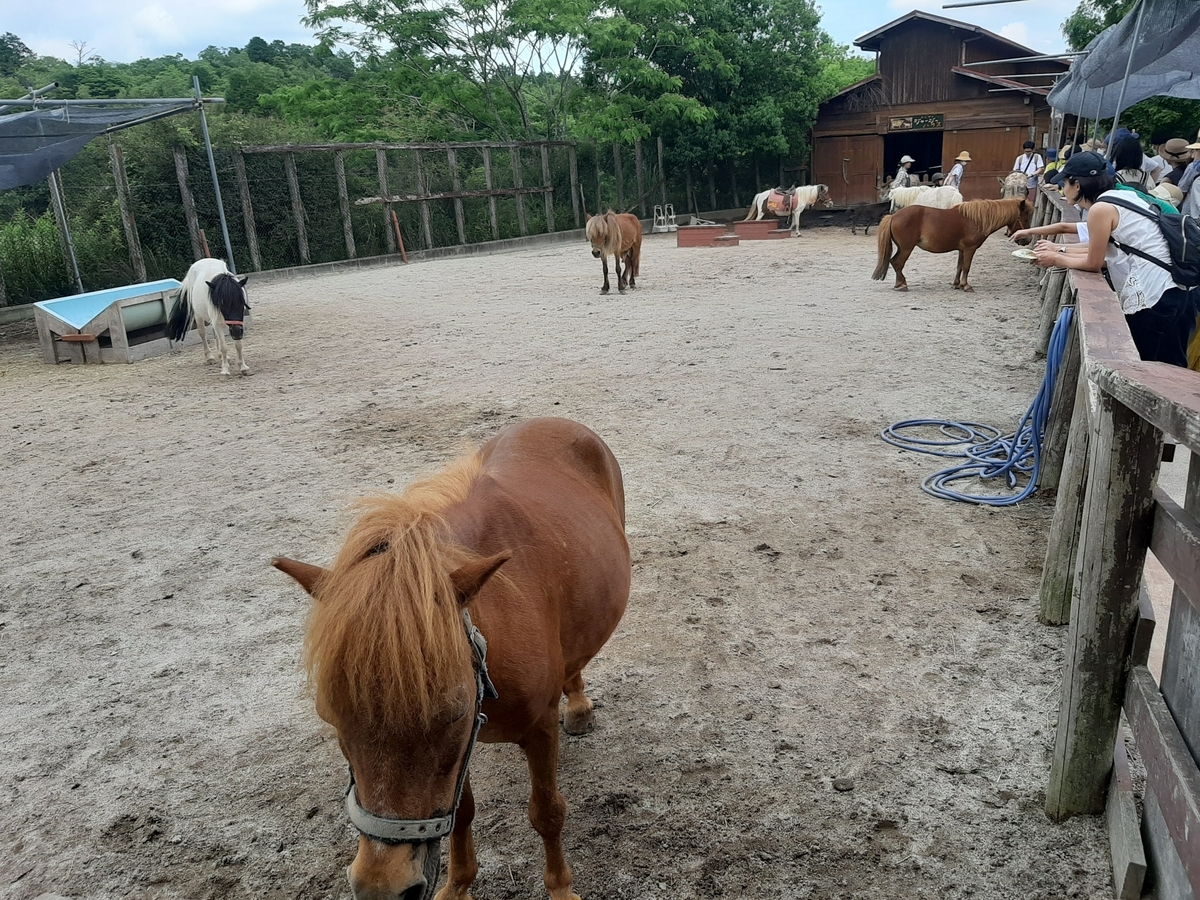 f:id:sanmanosippo:20200706211211j:plain