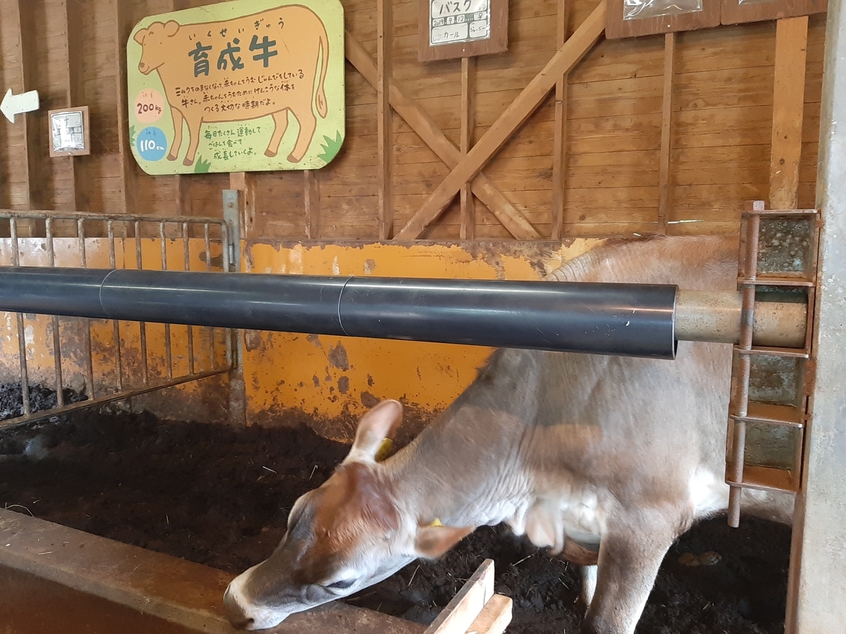 f:id:sanmanosippo:20200706211527j:plain