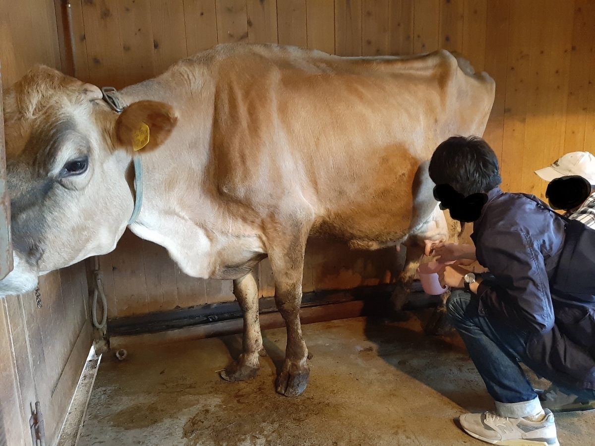 f:id:sanmanosippo:20200706211808j:plain