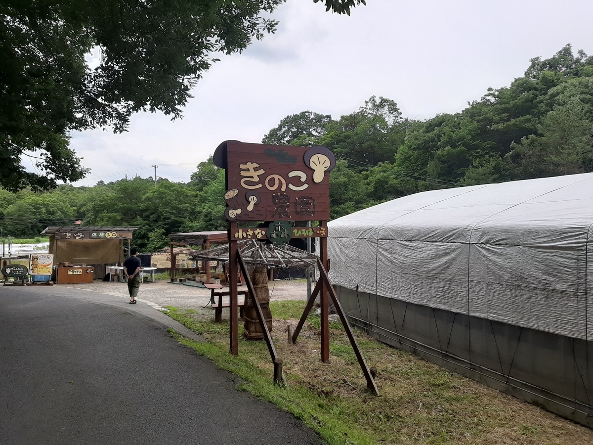 f:id:sanmanosippo:20200711221910j:plain