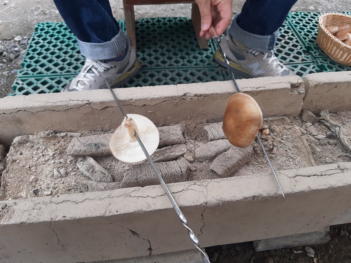 f:id:sanmanosippo:20200711221924j:plain