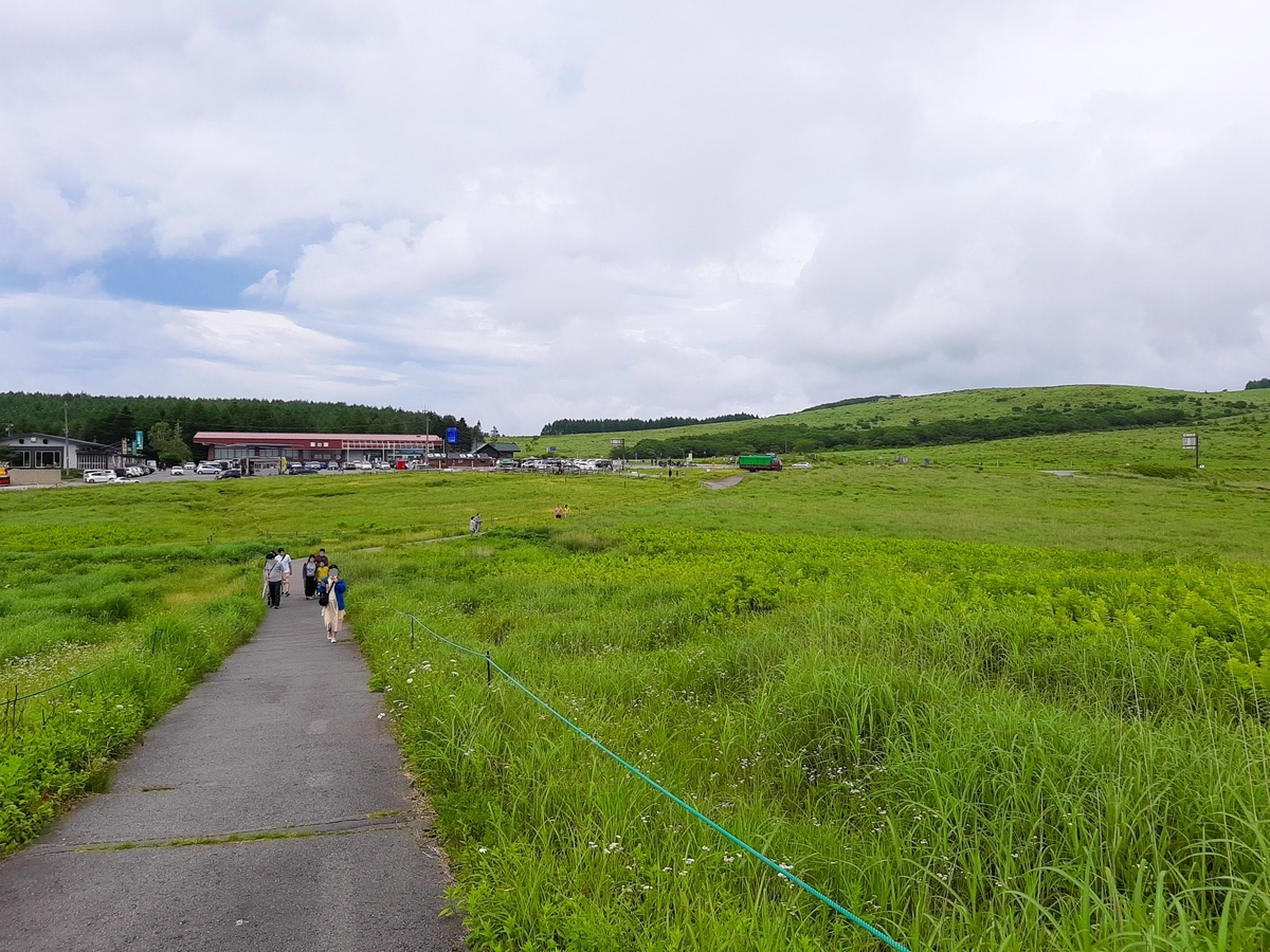 f:id:sanmanosippo:20201213110632j:plain