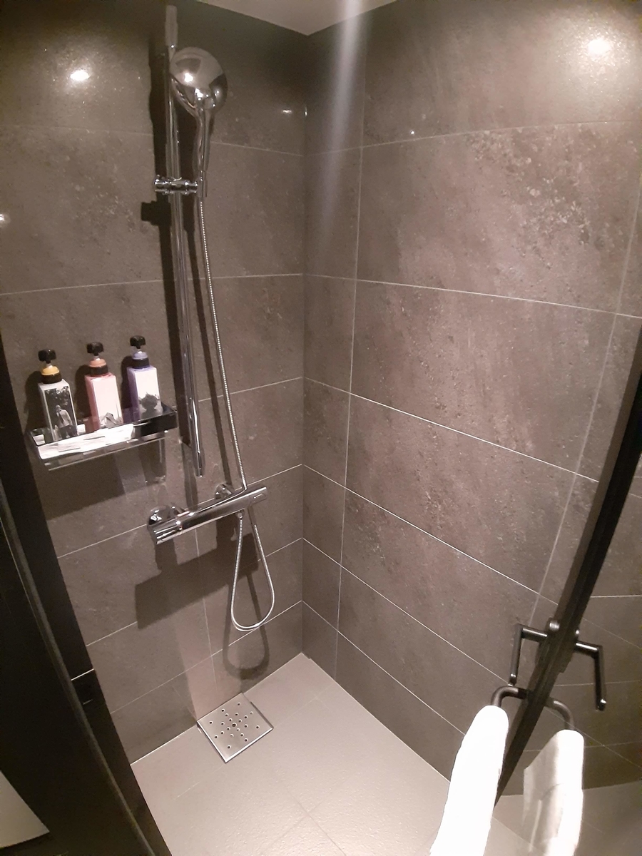 f:id:sanmanosippo:20210130170641j:plain