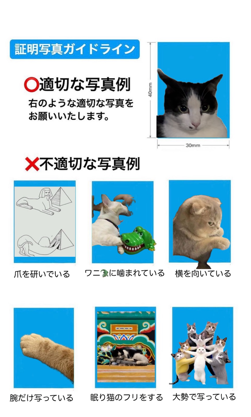 f:id:sanmeifuku:20240928112551j:image