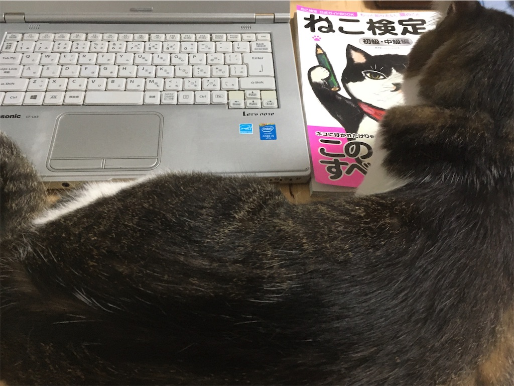f:id:sannekoyonneko:20200627073947j:image f:id:sannekoyonneko:20200627073947j:image