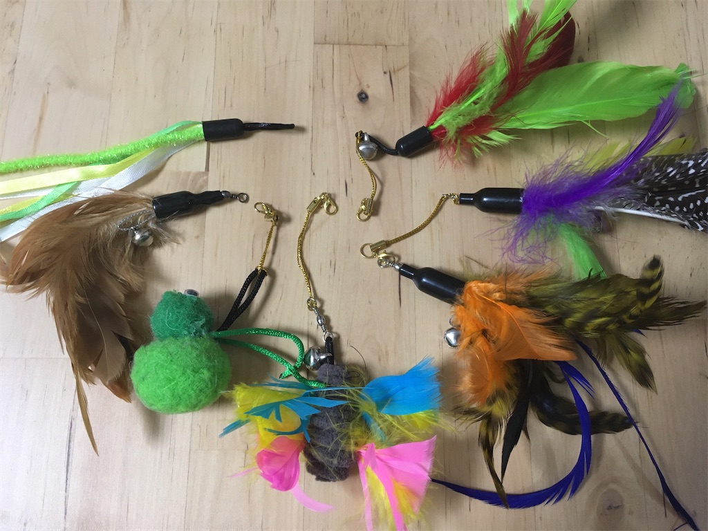 猫じゃらし 釣竿タイプ 猫氏の反応 動画有り 保護猫との生活を綴ります