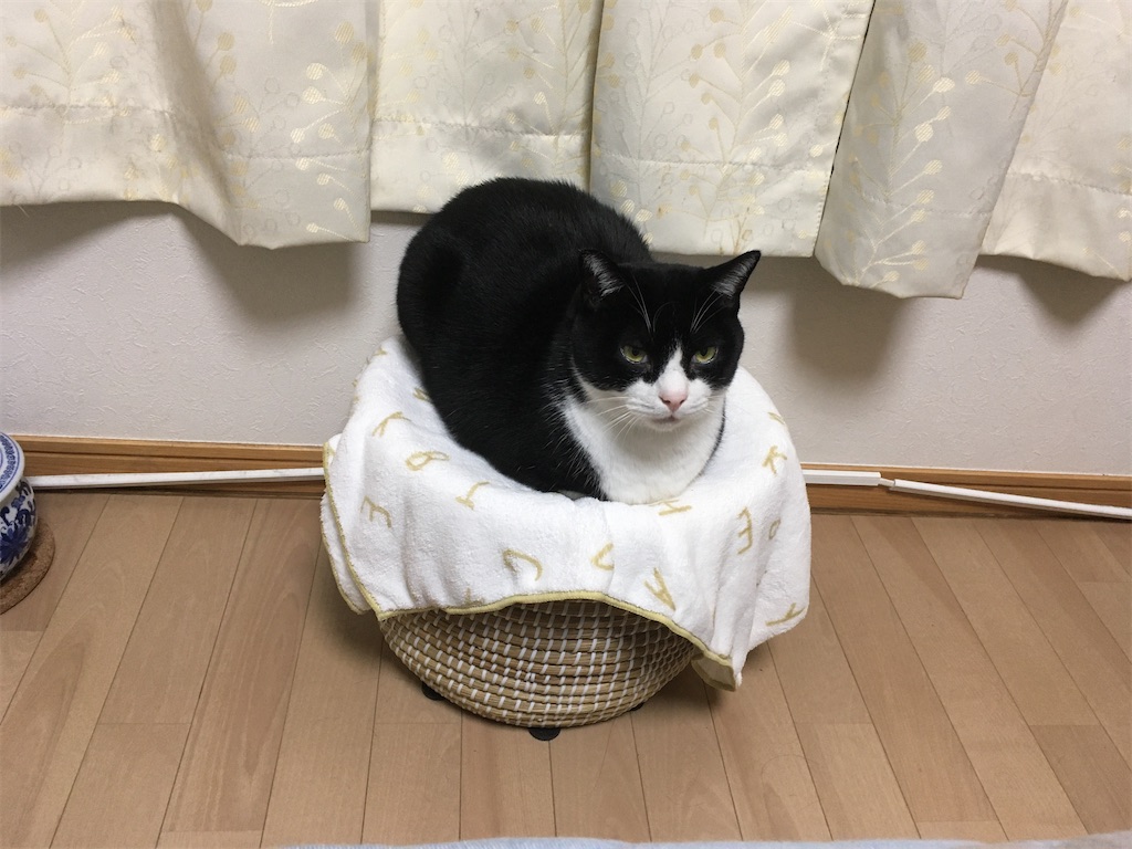 ねこちぐら 改造後 