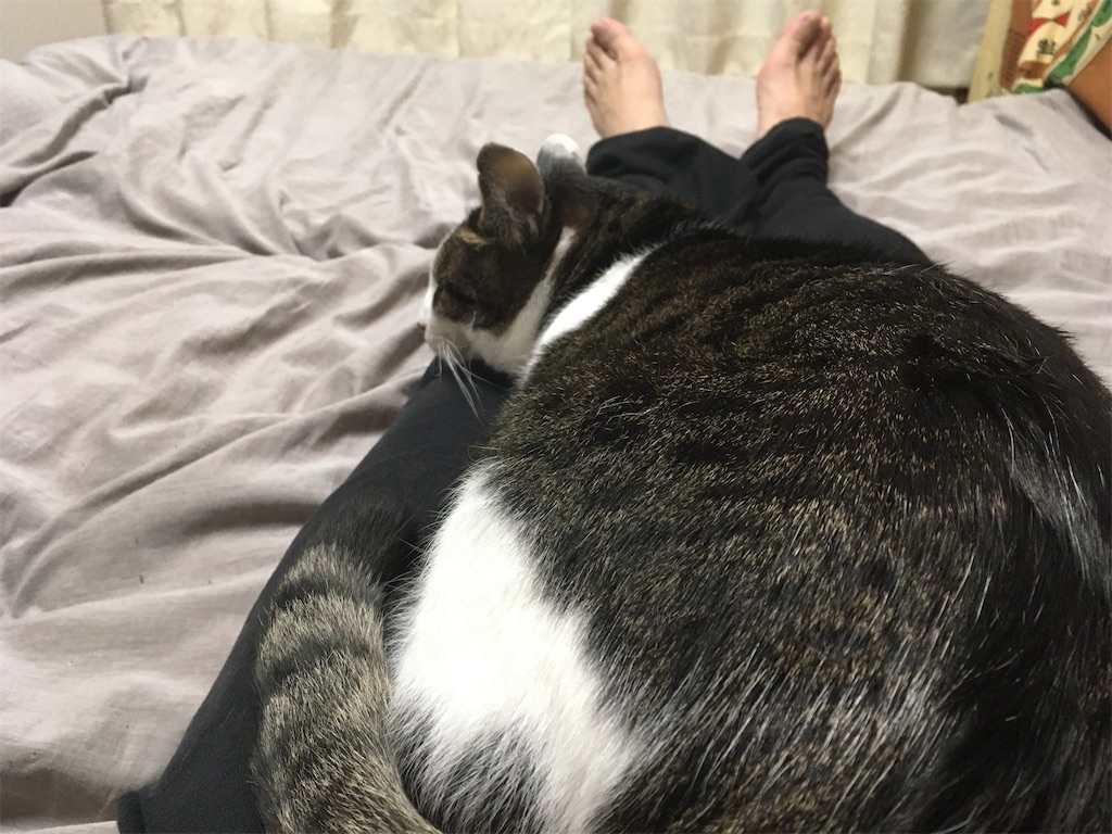眠くなると、この向きになります。