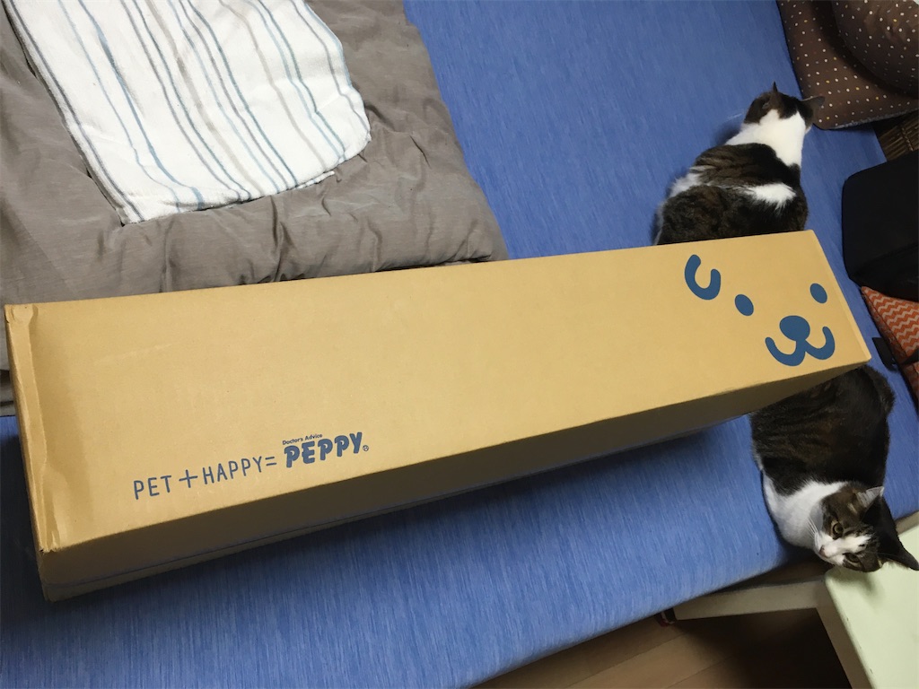ペピイ ソフトクールマット 枕付き
