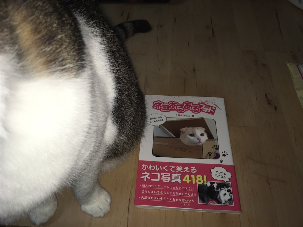 猫の本 ネコあるあるフォト 発行所：宝島社
