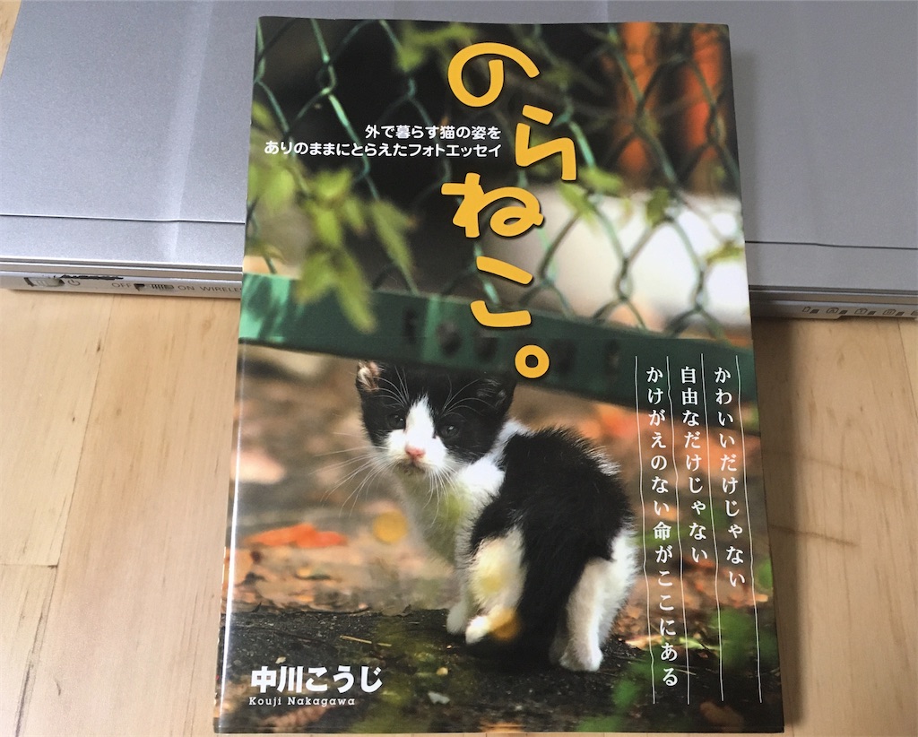 【感想】猫の本 のらねこ。外で暮らす猫の姿をありのままにとらえたフォトエッセイ