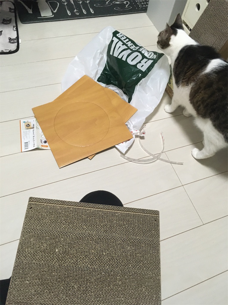 HappyDays キャットハウス 組み立てその1