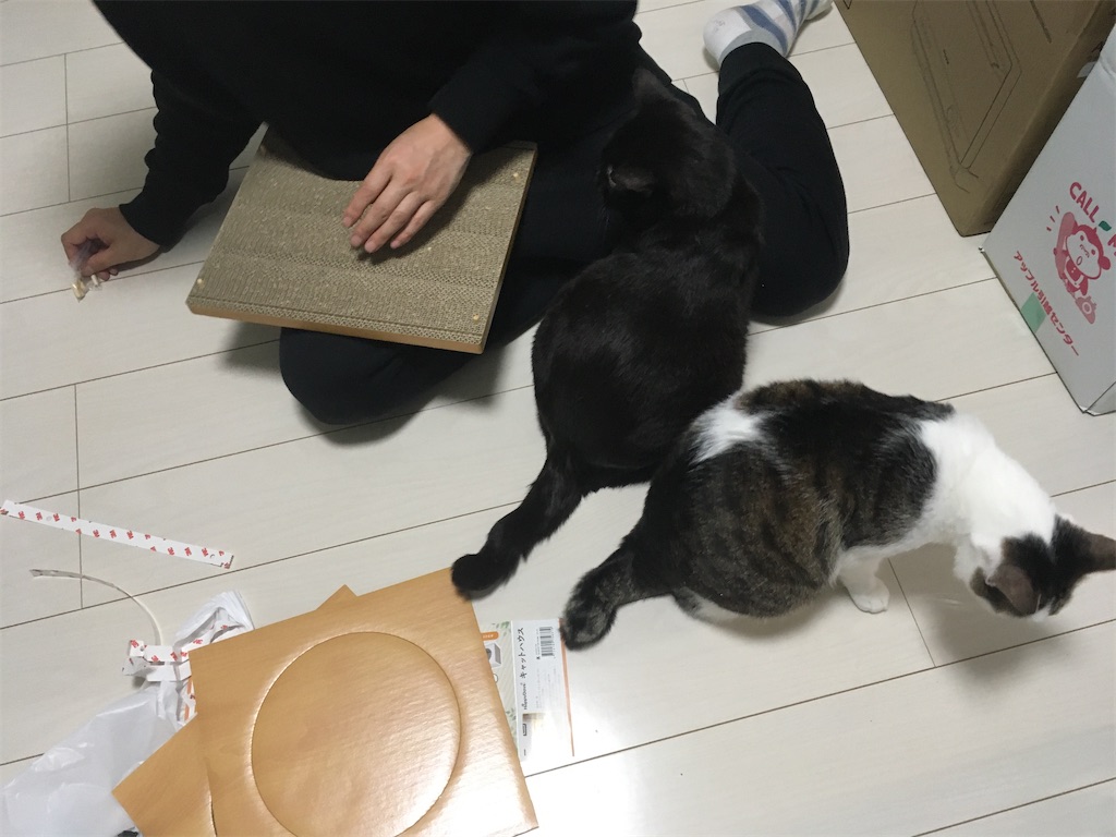 HappyDays キャットハウス 組み立てその2