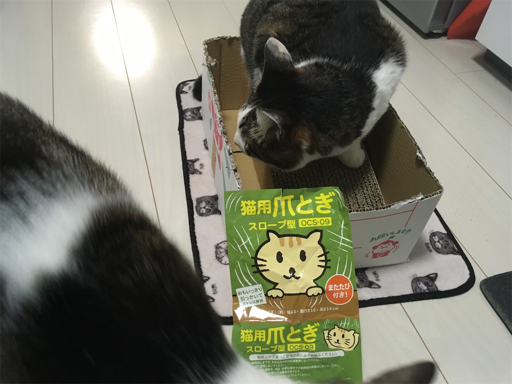 猫用爪とぎ スロープ型