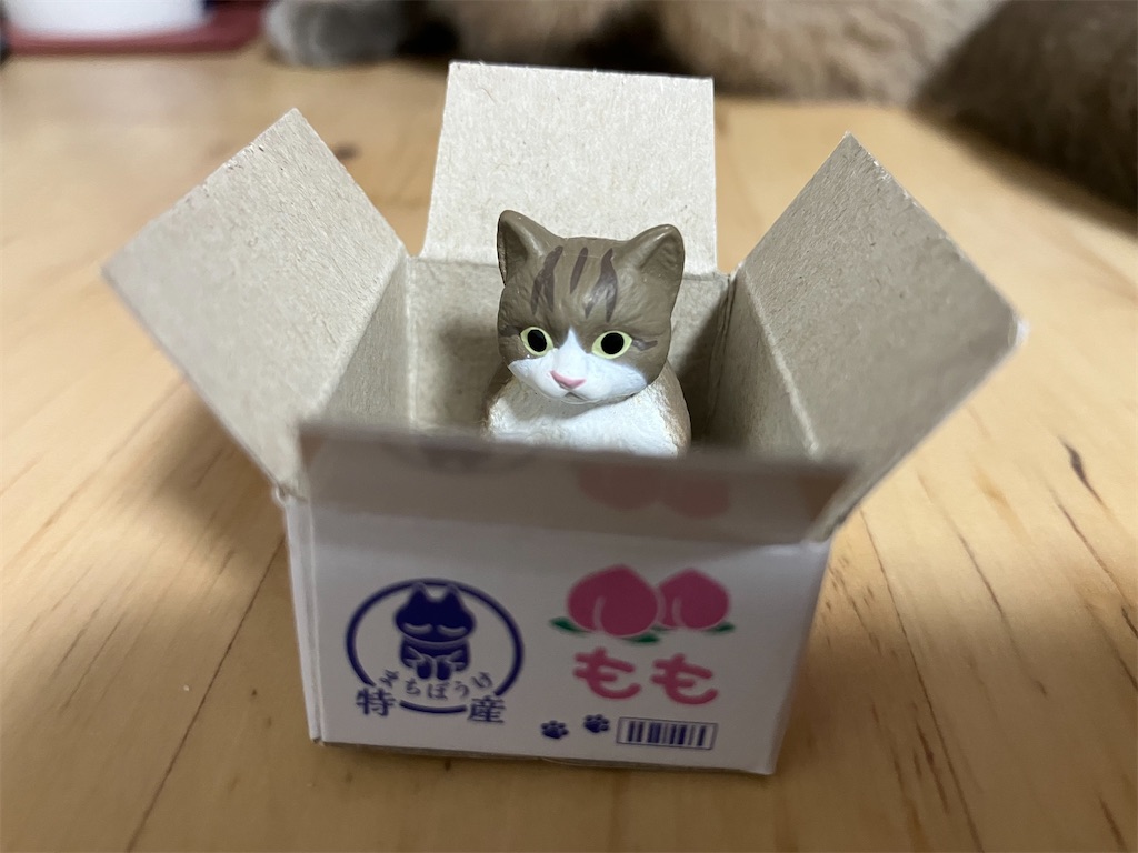 まちぼうけ猫3 キジ白（子猫）が当たりました！！