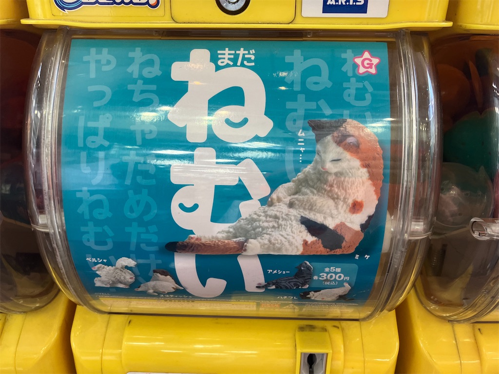 【ねむい ねむい まだ、ねむい 株式会社エール】猫は寝る子、我が家の五猫も昼間は殆どネンネしています。
