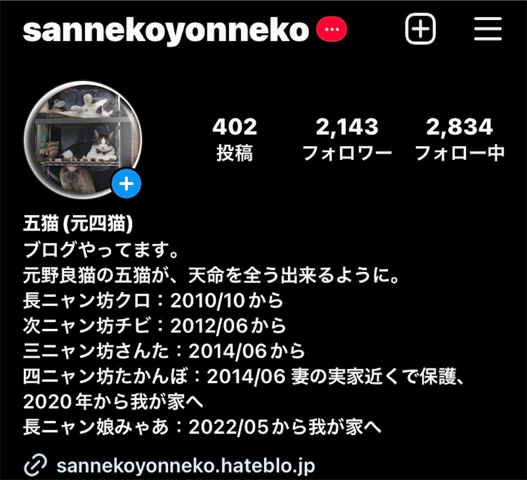 【Instagramは完全に停滞】2023年7月21日時点