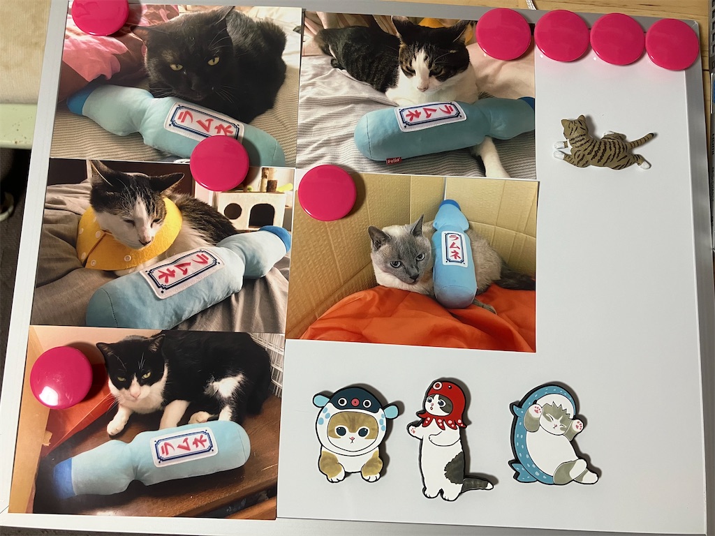 【mofusand モフサンド サメにゃん ラバーマグネット バンダイ】写真を並べなおし