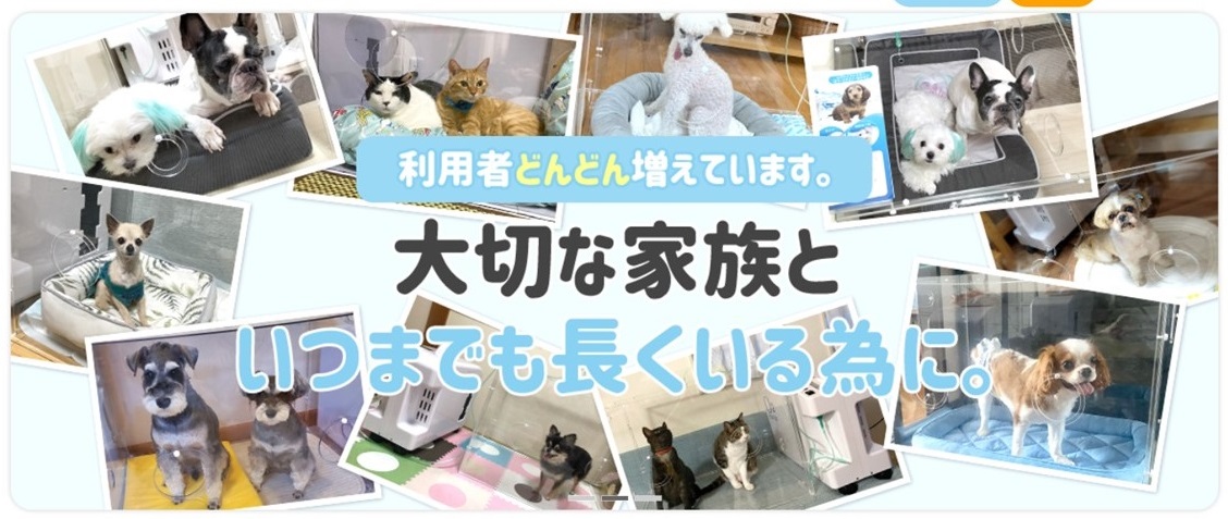 ペット用酸素室 オーツーチャージ 画像はオーツーチャージ公式サイトから引用
