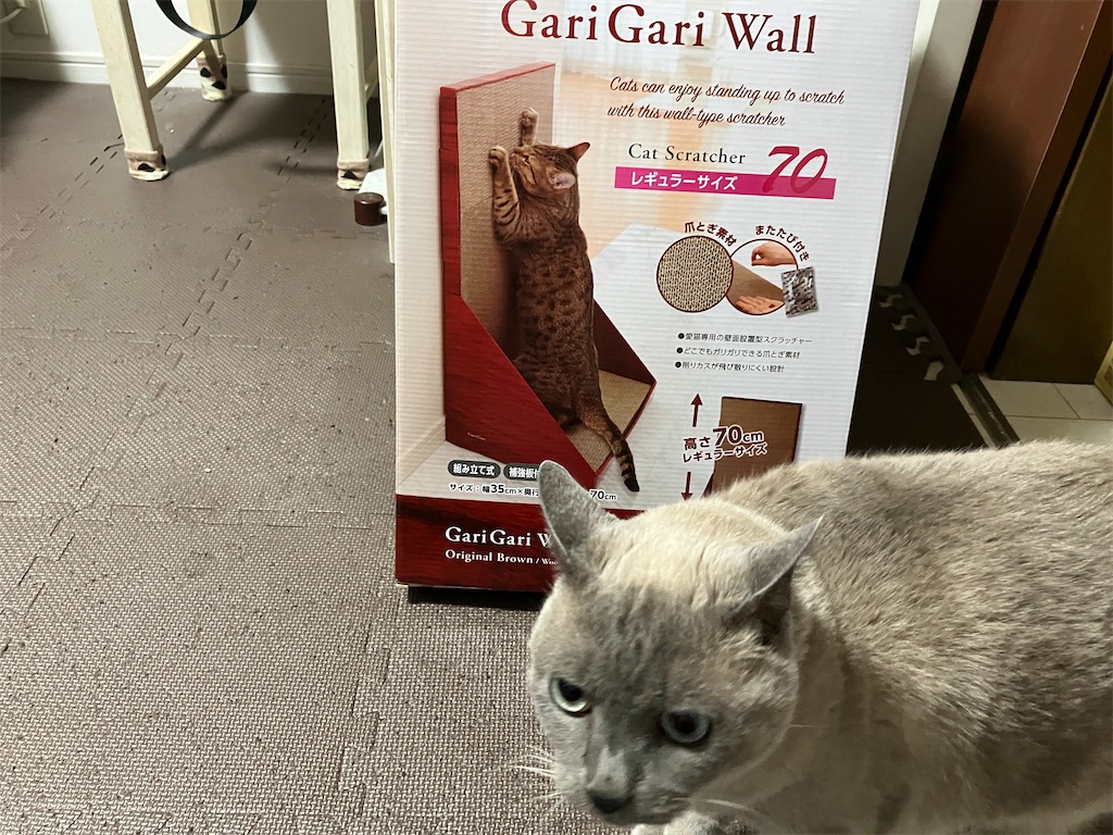 【Gari Gari Wall CatScrarcher 70 Cat Scratcher】