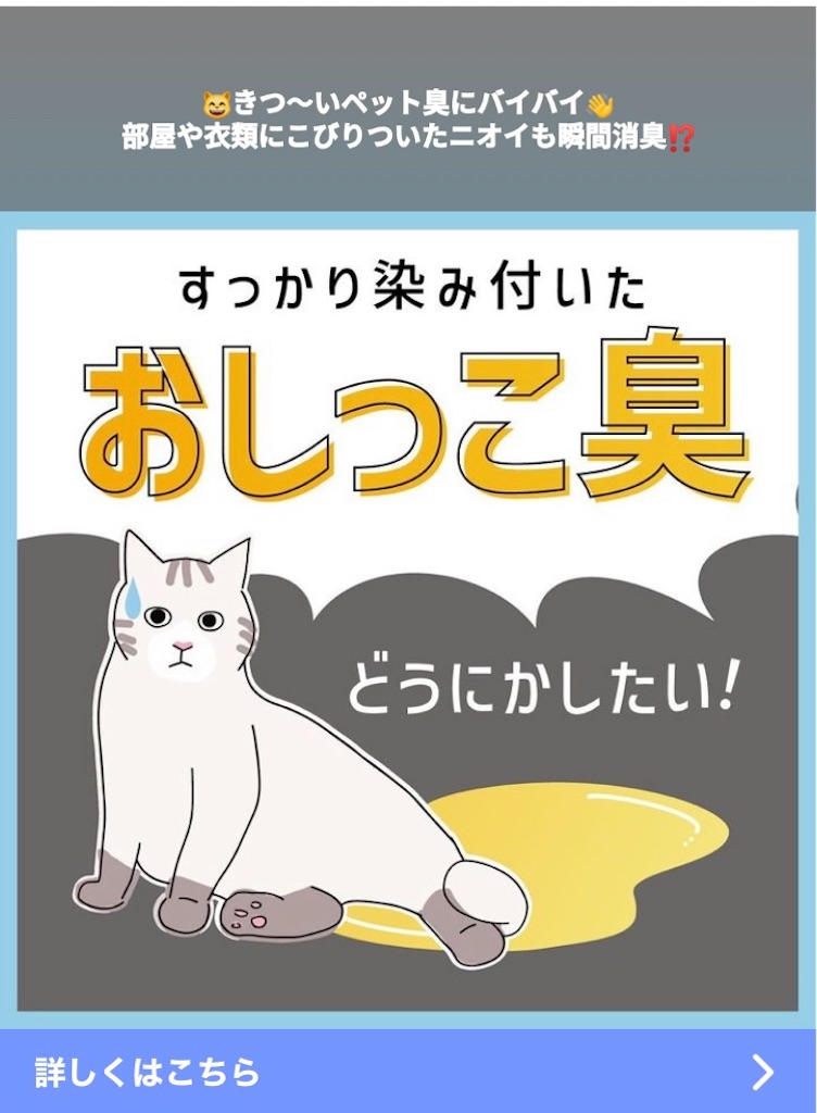 猫愛好家の心を揺さぶる広告の矛盾 SNSの広告ってなんでこんなに・・・