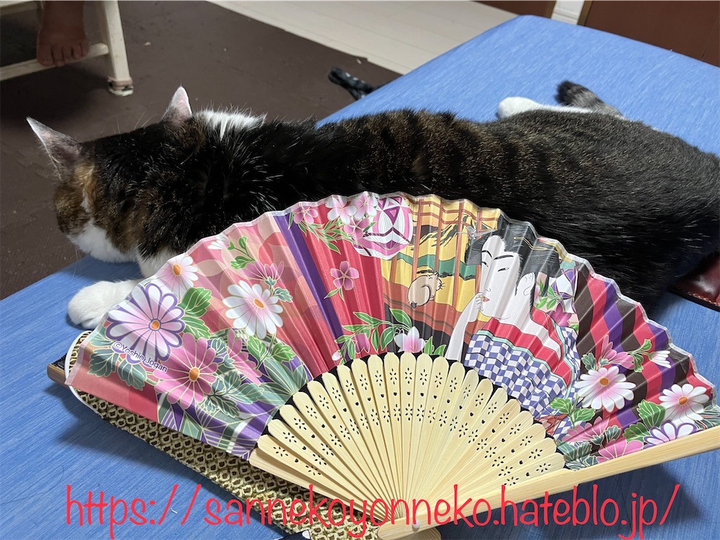 猫と扇子