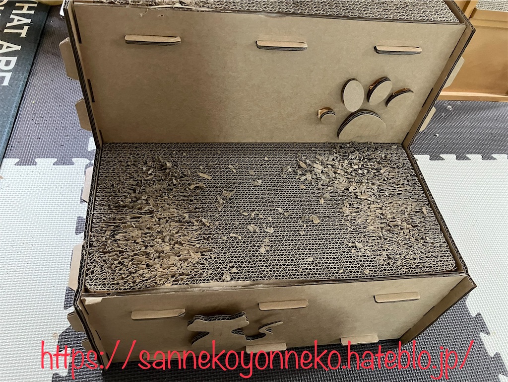 【レコンフォルテ キャットステップ購入レビュー】設置後2週間の使用レビュー