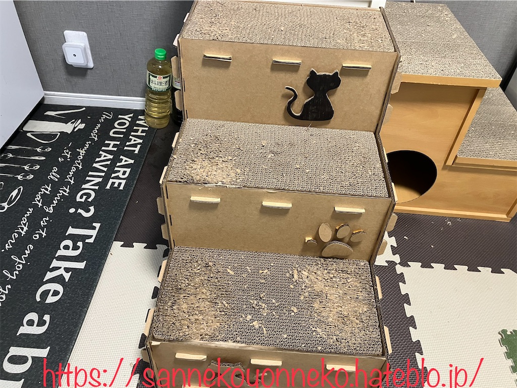 【レコンフォルテ キャットステップ購入レビュー】設置後2週間の使用レビュー