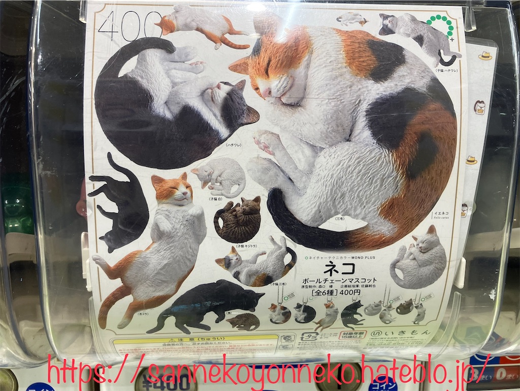 にゃこちゃん 猫 ねこ ガチャガチャ マスコット （まんまるどうぶつ まんまる