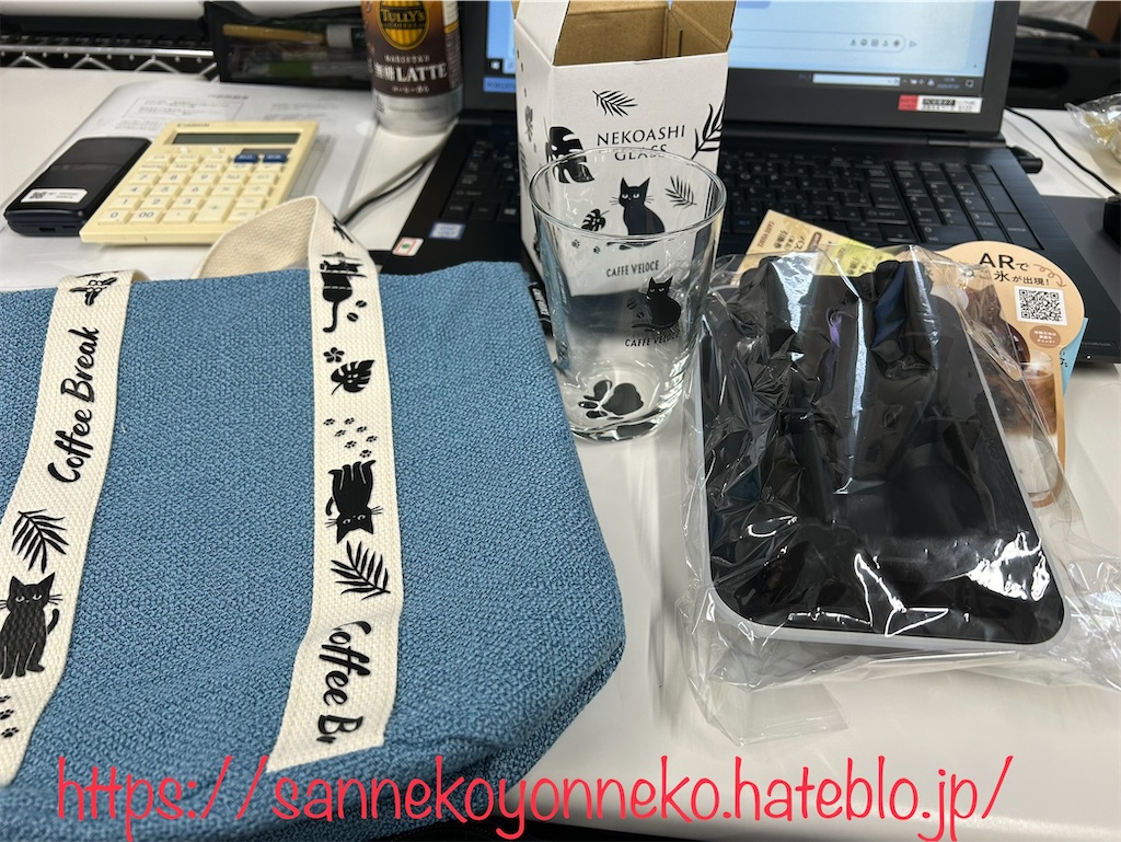 f:id:sannekoyonneko:20250701181553j:image